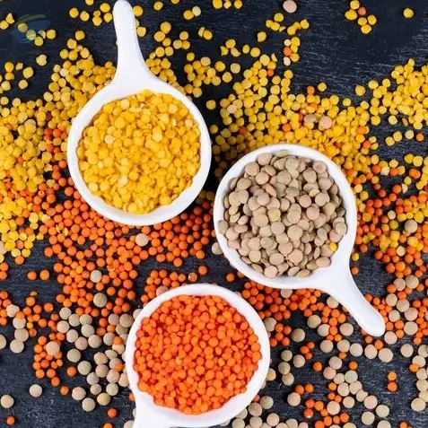 Premium Grade Indian Red Lentils