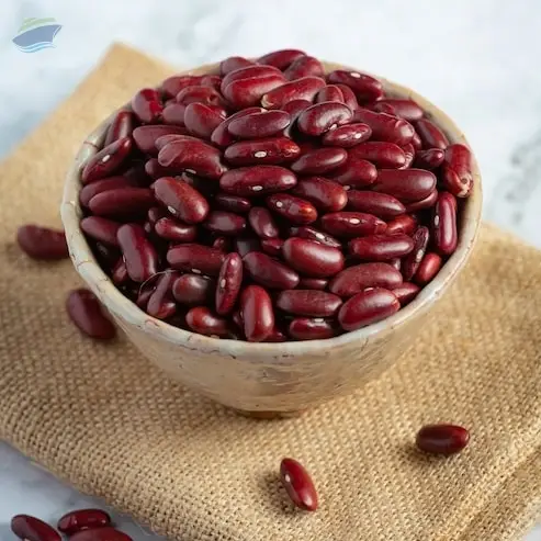 Premium Quality Indian Kidney Beans