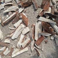 Dried Cassava Chips