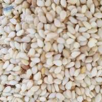 Sesame Seeds