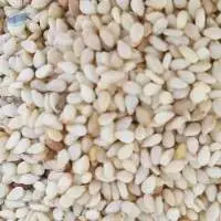 Sesame Seeds