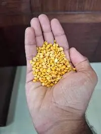 Non-Oily Split Pigeon Peas (Toor Dal Non-Oily)