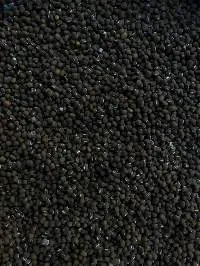 Whole Black Gram (Sabut Urad)