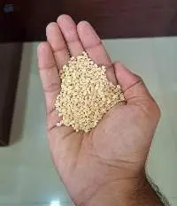 White Split Black Gram (Urad Dal)