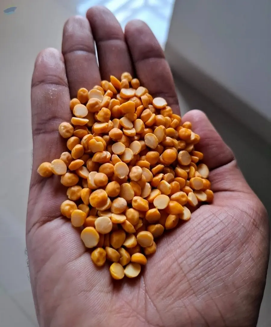 Split Bengal Gram (Chana Dal)