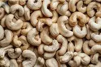 Premium Raw Cashew Nuts (RCN) Export Grade