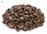 Biomass Grade Palm Kernel Shells (PKS)