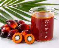 Premium Crude Palm Oil (CPO)