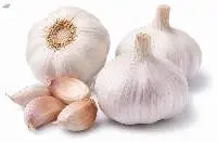 Premium Fresh Garlic