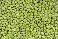 Arabica Green Coffee Beans