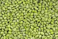 Arabica Green Coffee Beans
