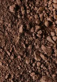 Alkalizes Cocoa Powder
