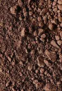 Alkalized Cocoa Powder