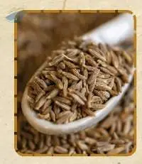 Premium Export Quality Cumin Seeds