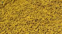 High Quality Premium Dried Turmeric Fingers