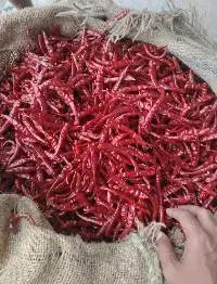 Export Quality Premium Dried Red Chilli Pods