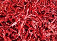 S334 Sannam Red Chilli