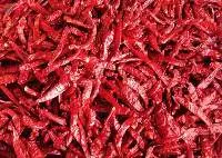 S334 Sannam Red Chilli