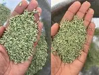 Fennel Seeds Singapore Quality