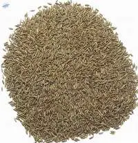 Cumin Seeds Singapore Grade