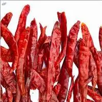 Export Grade Dreid Red Chilli Whole