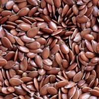 Premium Organic Edible Flaxseeds Bulk Supply