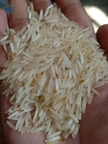 1509 Basmati Rice
