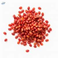 Grade A Premium Quality Red Lentils Dal