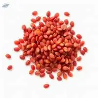 Grade A Premium Quality Red Lentils Dal