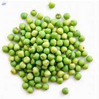  Grade A Premium Quality Fresh Green Peas