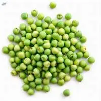  Grade A Premium Quality Fresh Green Peas