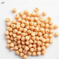 Natural Kabuli Chickpeas Premium Quality