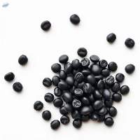High Protein Organic Black Beans
