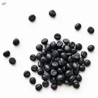 High Protein Organic Black Beans