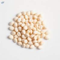 High Protein Organic Navy Beans