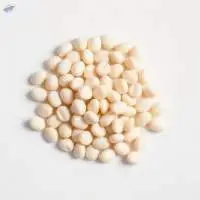 High Protein Organic Navy Beans