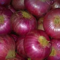Indian Red Onions