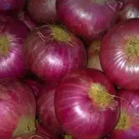 Indian Red Onions