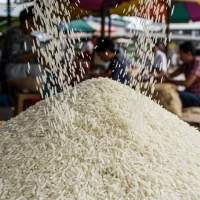 Non-Basmati Rice