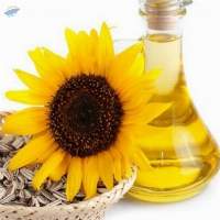 Sunflower Oil