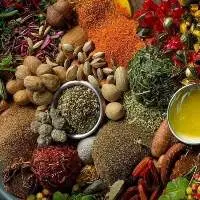 Indian Spices
