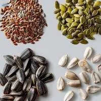 Premium Oil Seeds For Export High Grade