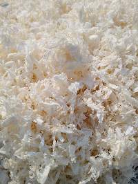 Chitin Polymer