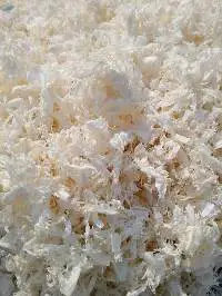 Chitin Polymer