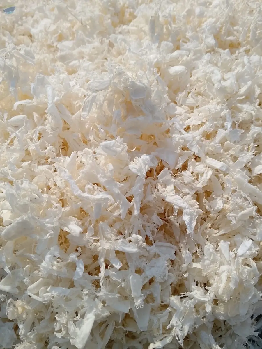 Chitin Polymer
