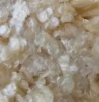Fish Scale Ossein