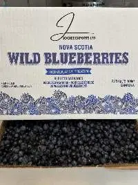 Canadian IQF Wild Blueberry