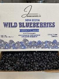 Canadian IQF Wild Blueberry