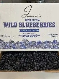Canadian IQF Wild Blueberry