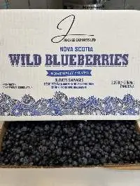 Canadian IQF Wild Blueberry